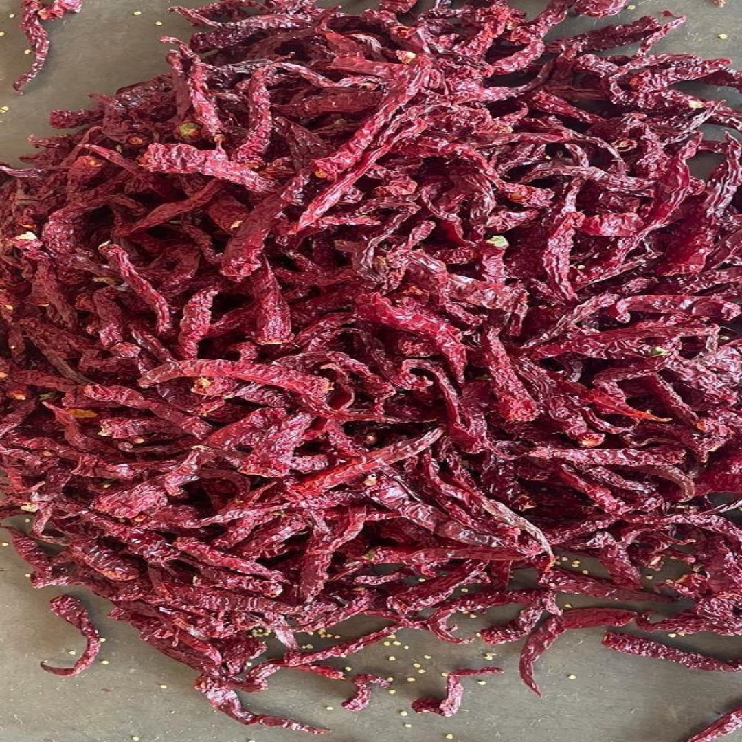 Syngenta 2043  Dry Red Chilli